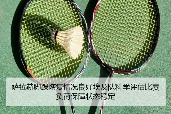 萨拉赫脚踝恢复情况良好埃及队科学评估比赛负荷保障状态稳定 | Jiangnan
