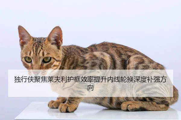独行侠聚焦莱夫利护框效率提升内线轮换深度补强方向 | Jiangnan