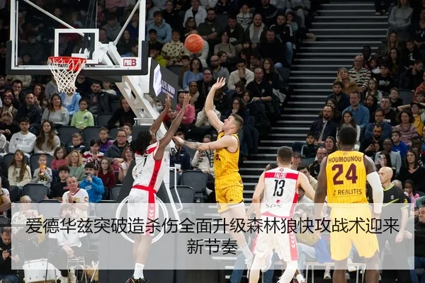 爱德华兹突破造杀伤全面升级森林狼快攻战术迎来新节奏（Jiangnan）